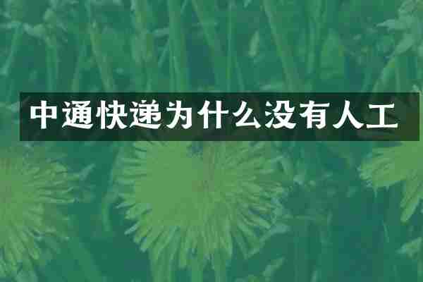 中通快递为什么没有人工