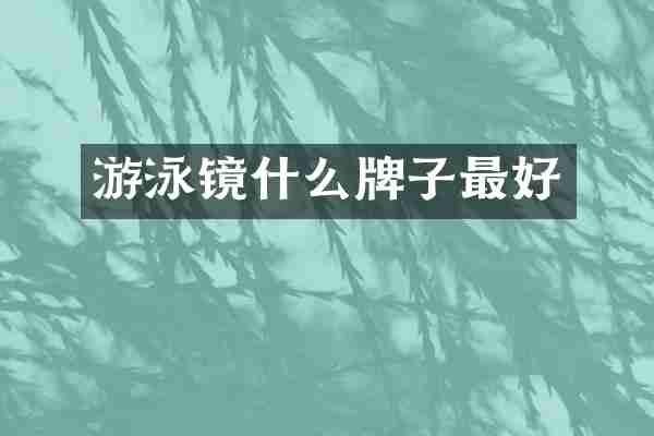 游泳镜什么牌子最好