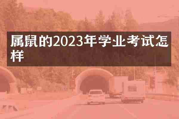 属鼠的2023年学业考试怎么样