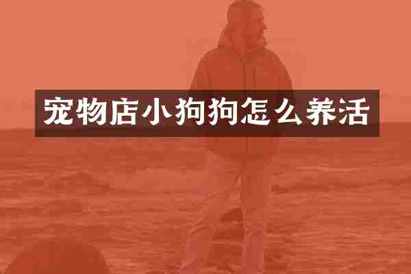 宠物店小狗狗怎么养活