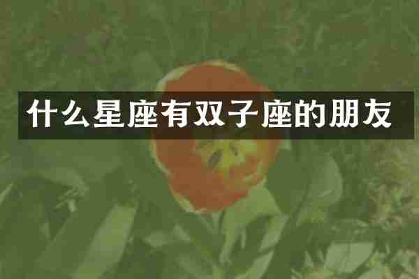 什么星座有双子座的朋友