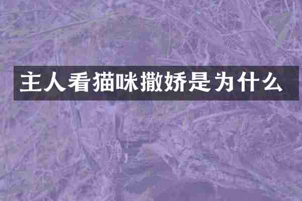 主人看猫咪撒娇是为什么