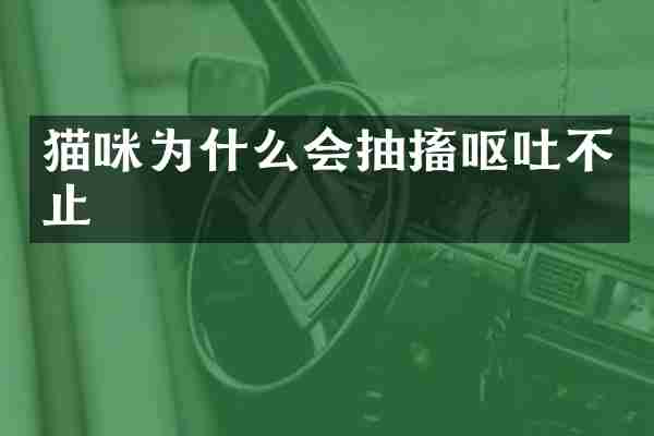 猫咪为什么会抽搐呕吐不止