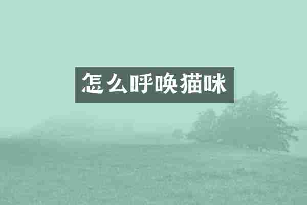 怎么呼唤猫咪