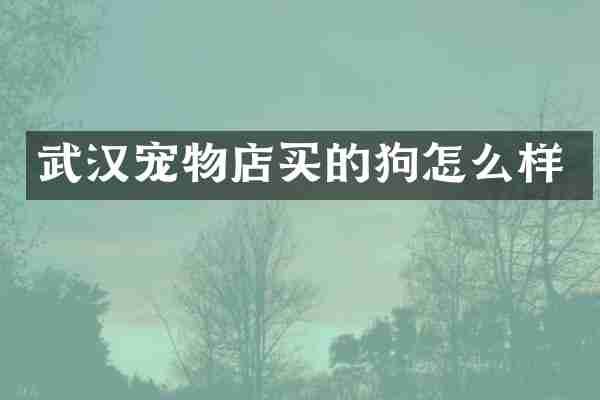 武汉宠物店买的狗怎么样