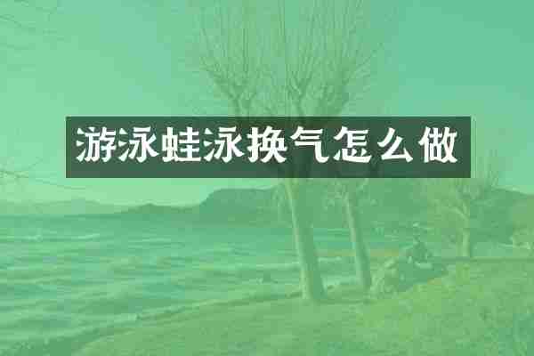 游泳蛙泳换气怎么做