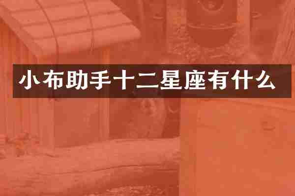 小布助手十二星座有什么