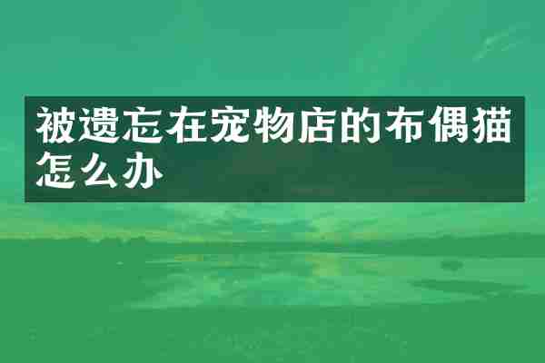 被遗忘在宠物店的布偶猫怎么办