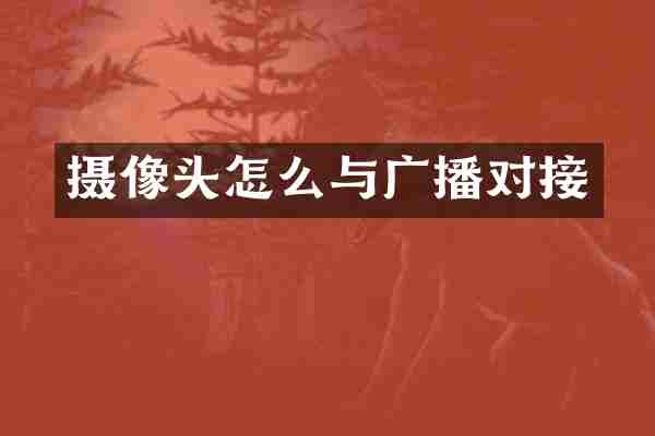 摄像头怎么与广播对接