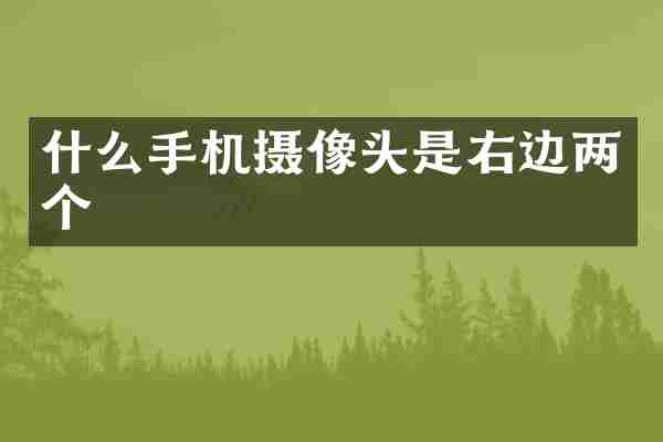 什么手机摄像头是右边两个