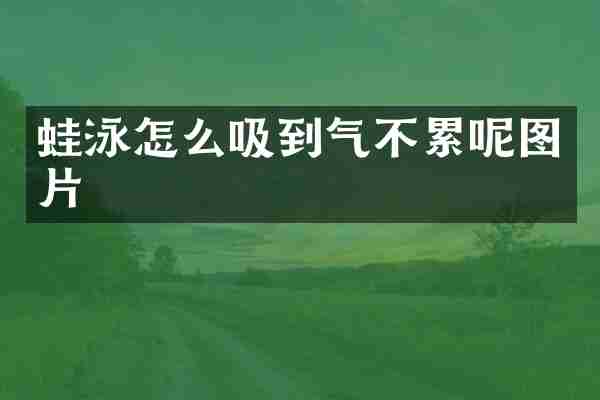 蛙泳怎么吸到气不累呢图片