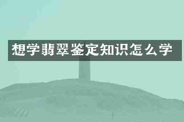 想学翡翠鉴定知识怎么学