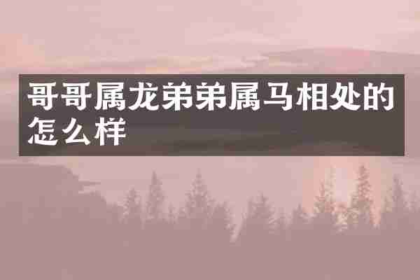 哥哥属龙弟弟属马相处的怎么样