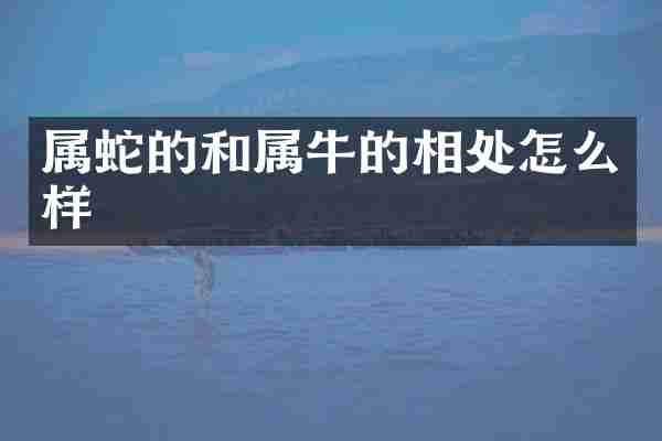 属蛇的和属牛的相处怎么样