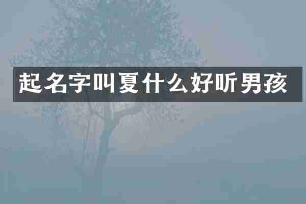 起名字叫夏什么好听男孩