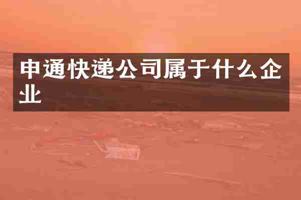 申通快递公司属于什么企业