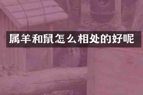 属羊和鼠怎么相处的好呢