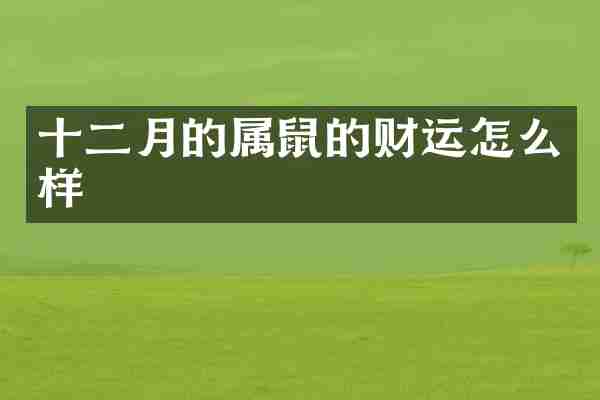 十二月的属鼠的财运怎么样