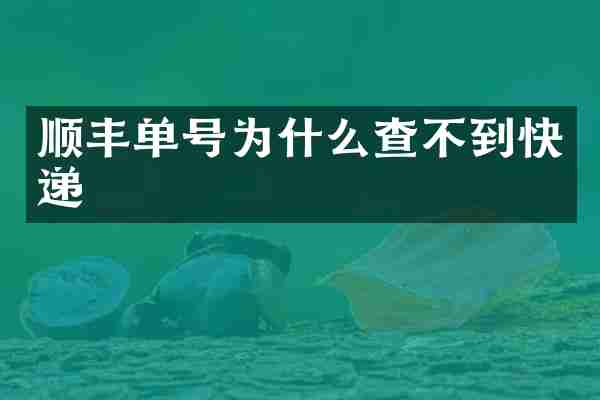 顺丰单号为什么查不到快递