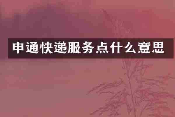 申通快递服务点什么意思