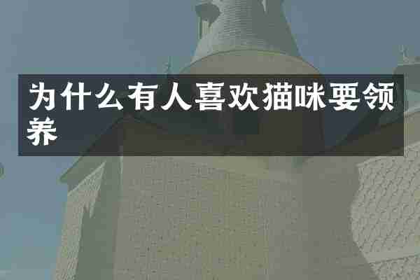 为什么有人喜欢猫咪要领养