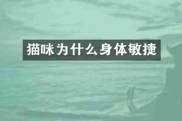 猫咪为什么身体敏捷