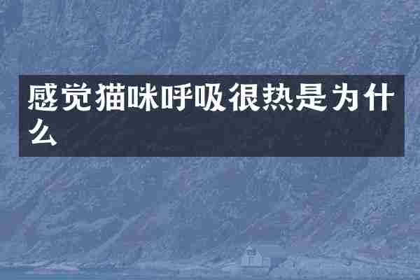 感觉猫咪呼吸很热是为什么