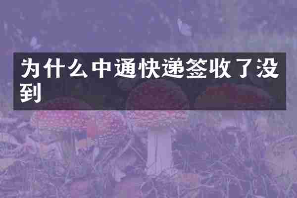 为什么中通快递签收了没到_中通-物流快递-网者头条