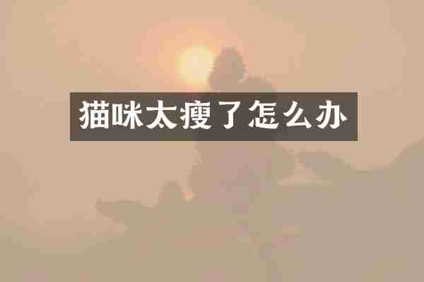 猫咪太瘦了怎么办