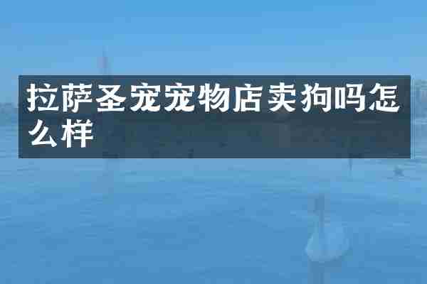 拉萨圣宠宠物店卖狗吗怎么样