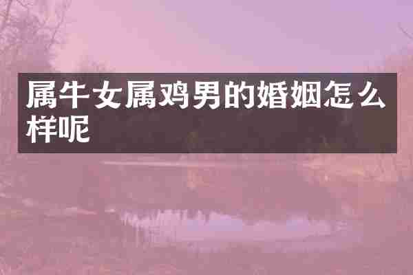 属牛女属鸡男的婚姻怎么样呢