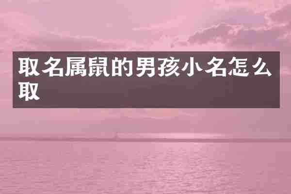 取名属鼠的男孩小名怎么取