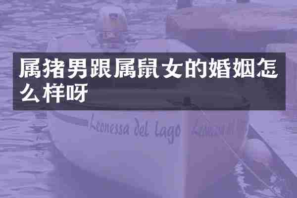 属猪男跟属鼠女的婚姻怎么样呀