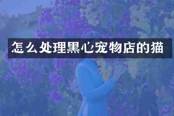 怎么处理黑心宠物店的猫
