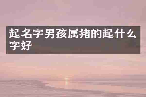 起名字男孩属猪的起什么字好