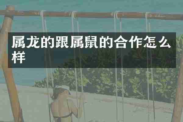 属龙的跟属鼠的合作怎么样