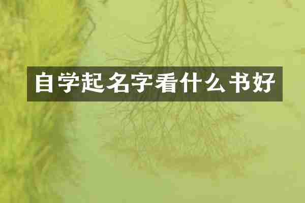 自学起名字看什么书好
