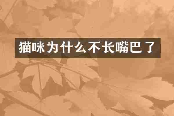 猫咪为什么不长嘴巴了