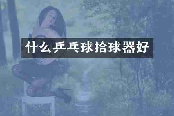 什么乒乓球拾球器好