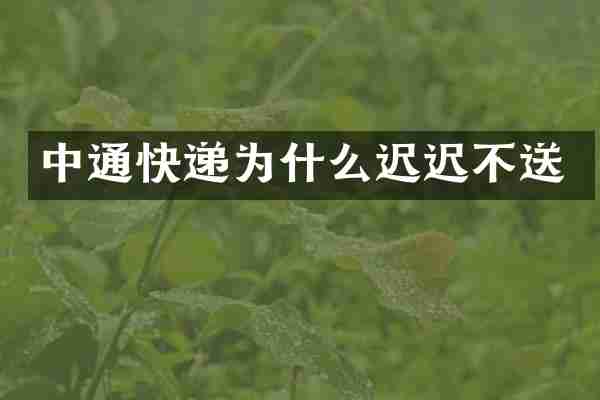 中通快递为什么迟迟不送