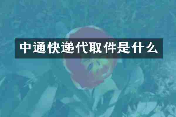 中通快递代取件是什么