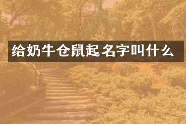 给奶牛仓鼠起名字叫什么