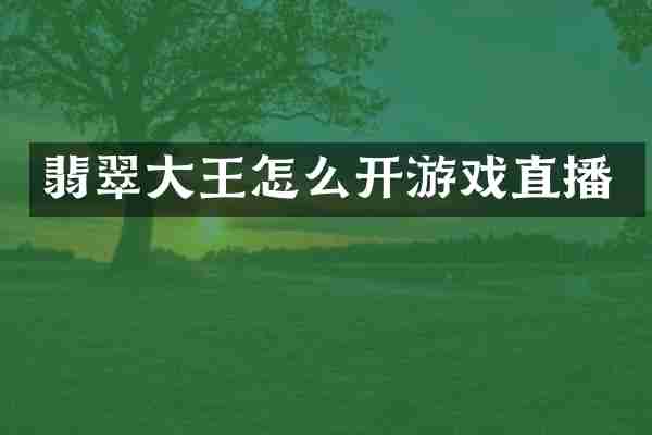 翡翠大王怎么开游戏直播
