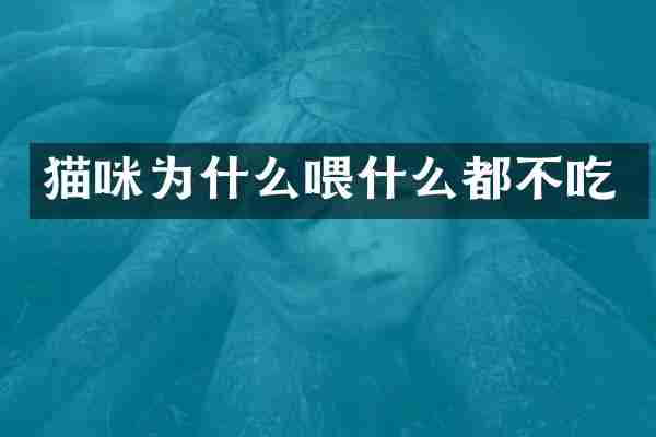 猫咪为什么喂什么都不吃