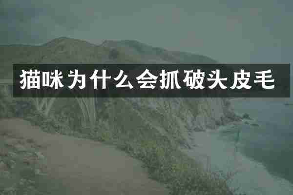 猫咪为什么会抓破头皮毛