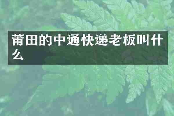 莆田的中通快递老板叫什么