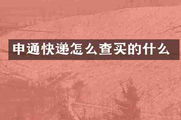 申通快递怎么查买的什么