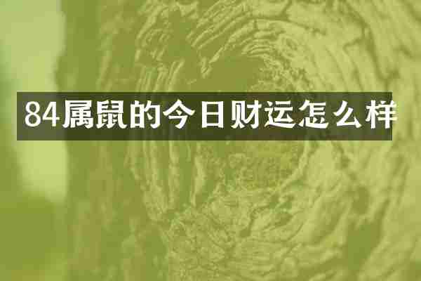 84属鼠的今日财运怎么样