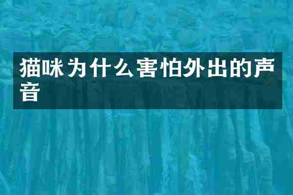 猫咪为什么害怕外出的声音