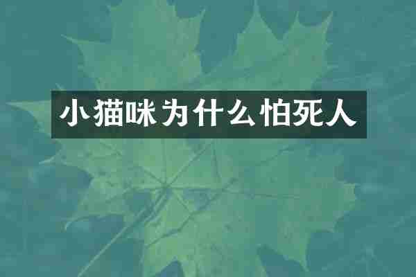 小猫咪为什么怕死人